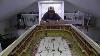 Table Top Hockey In Legendary NHL Arenas